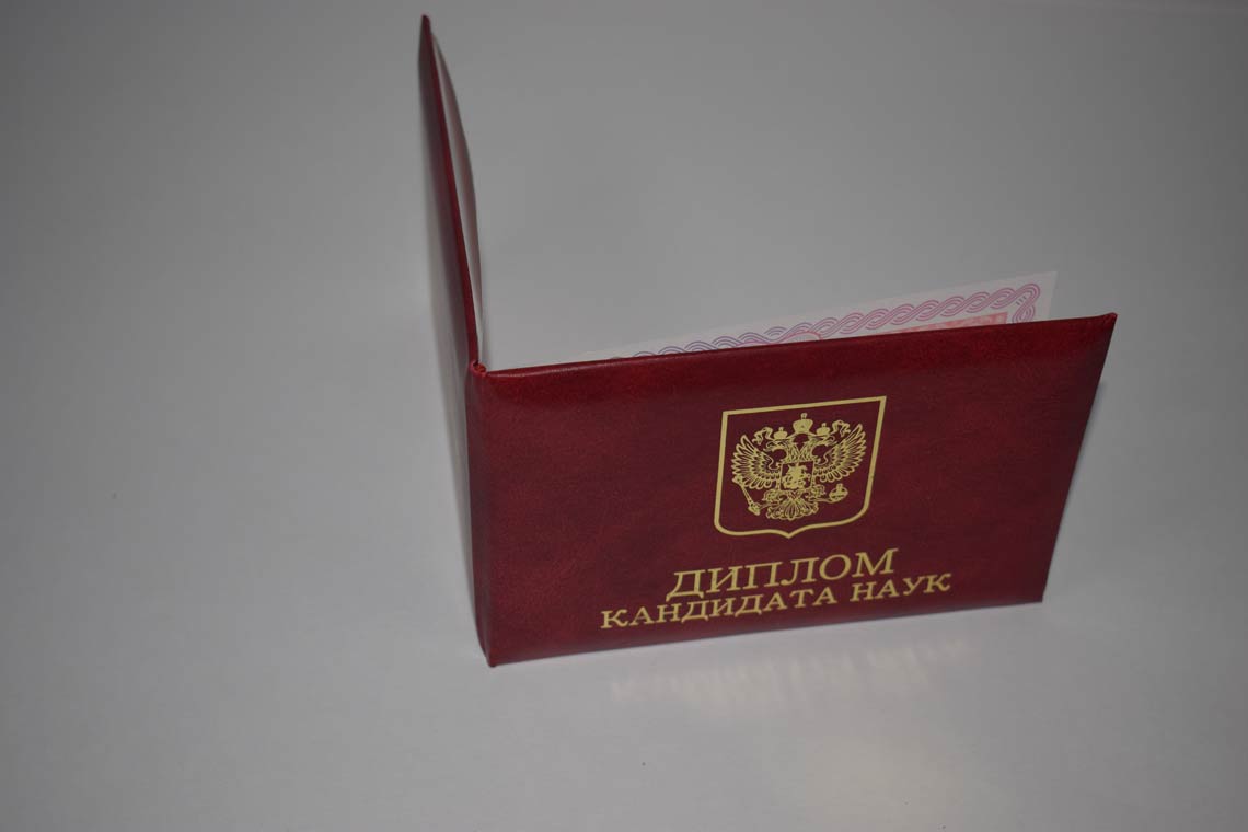 Диплом Кандидата Наук 2013-2016 во Владимире корка