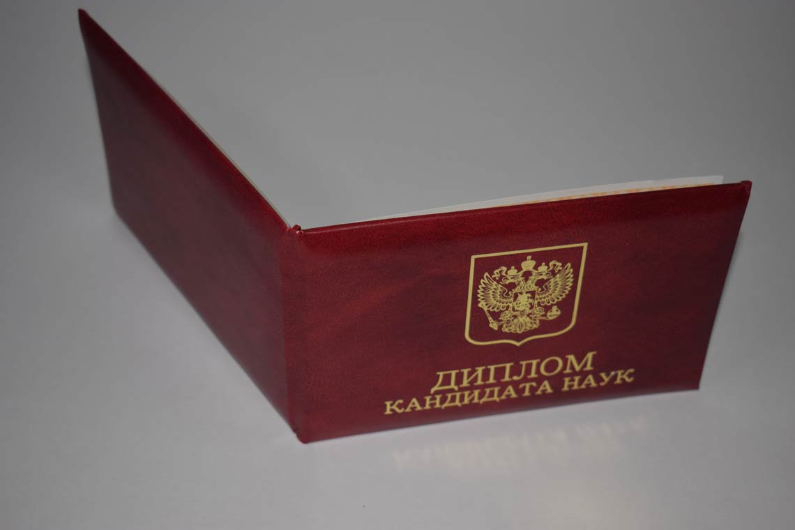 Диплом Кандидата Наук 2017-2025 во Владимире корка